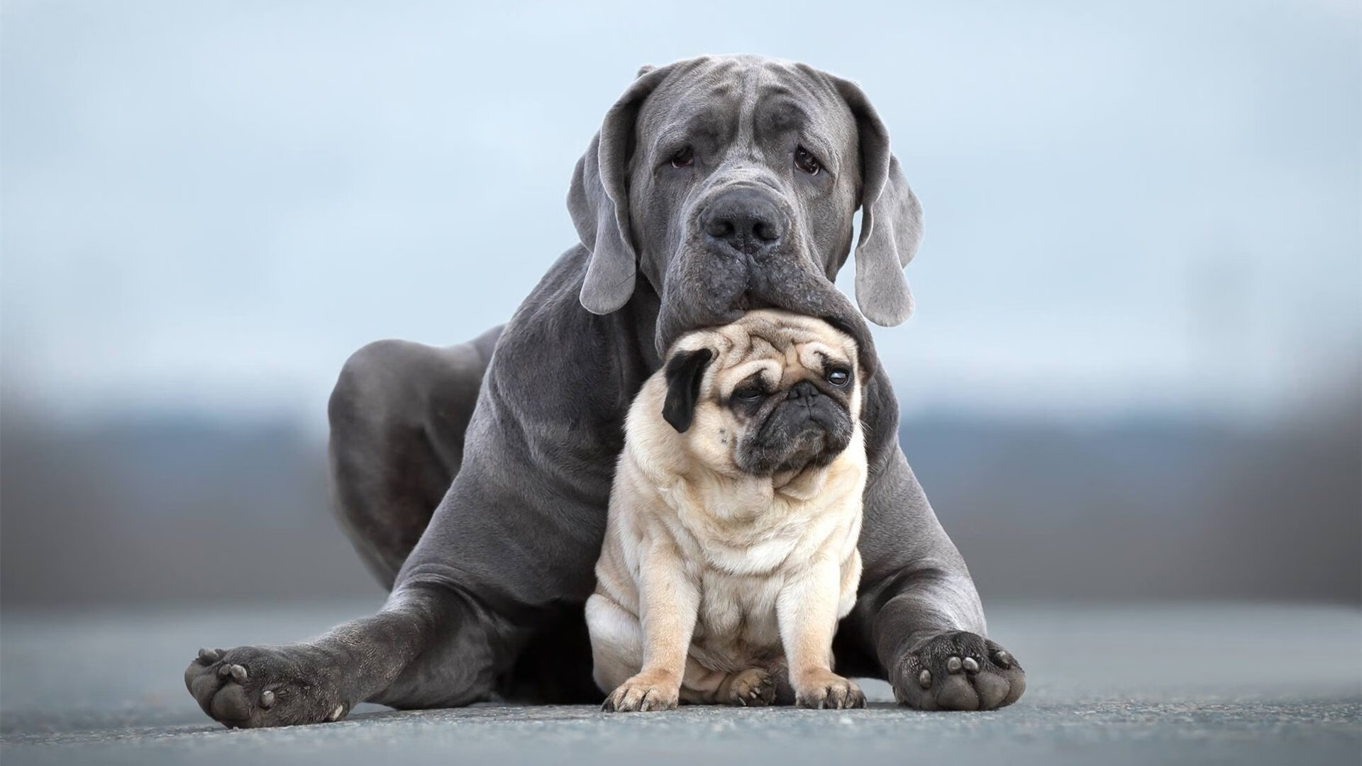 各种主题电竞展览轮番上阵,粉丝热情高涨,电竞展览策划书