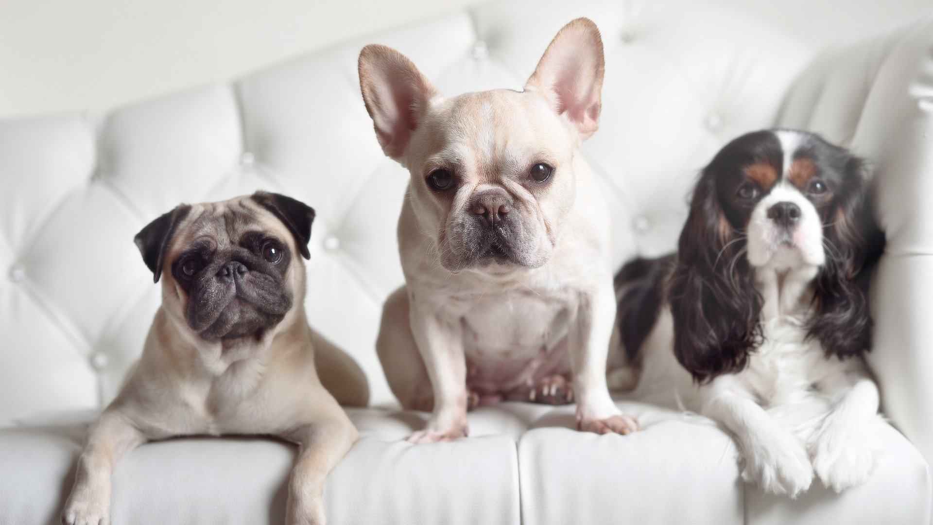 九游登录入口-星际争霸2全明星在线对抗赛，策略盛宴等待开启，星际争霸2联赛视频