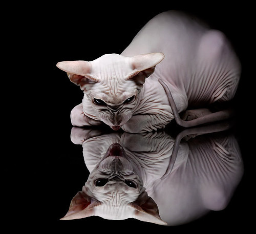 梅西成美洲杯出场最多球员,达39场,梅西美洲杯一共进了几个球