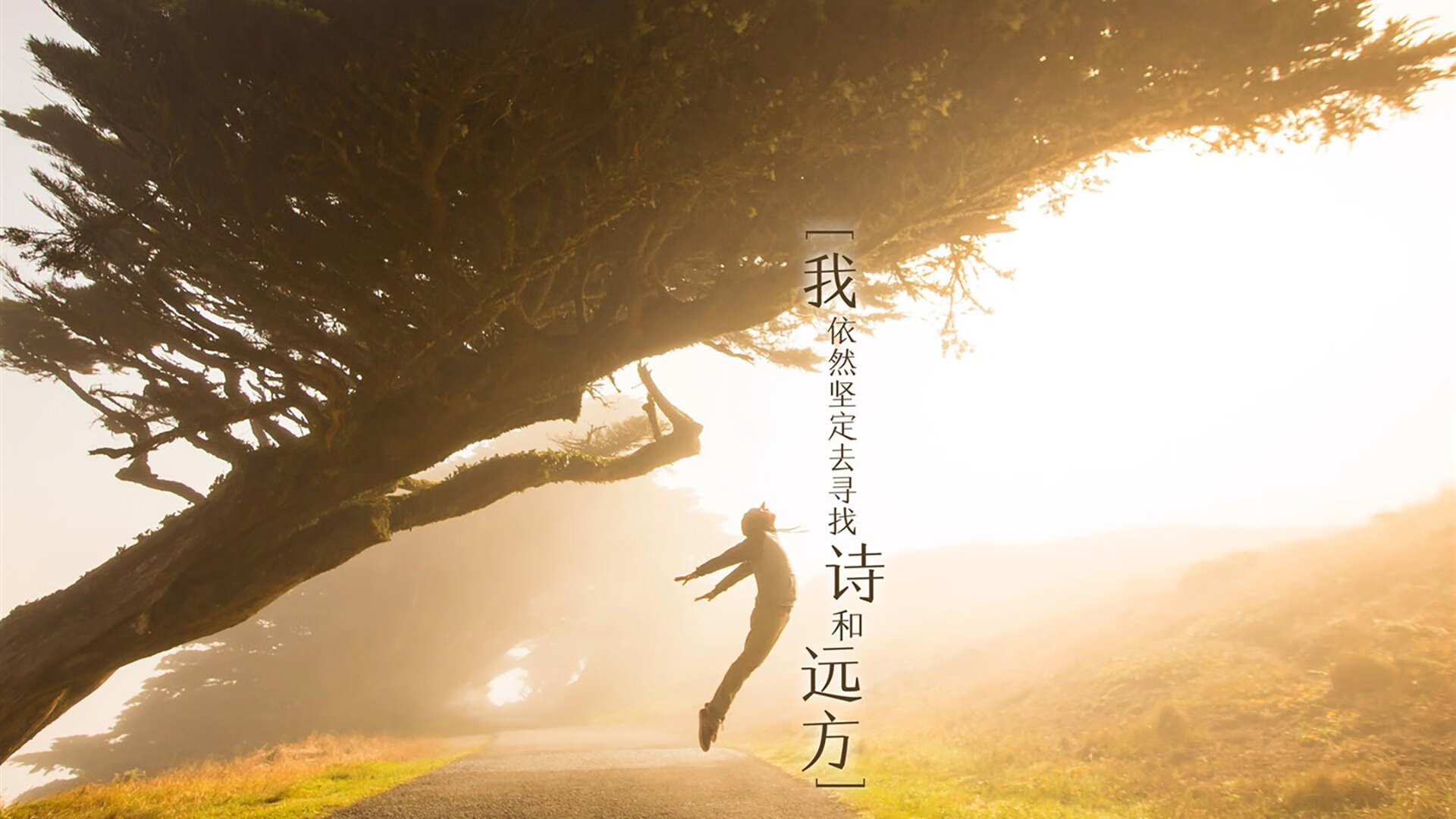 球迷传说:支持球队几十年的动人故事,球迷口号有哪些