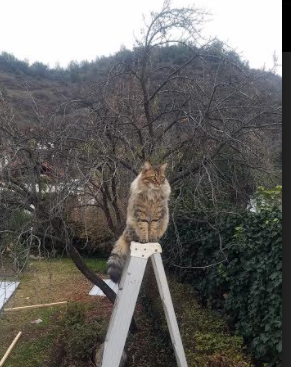 九游官网下载电脑版-赛事志：最值得关注的台球对决盘点，台球对战