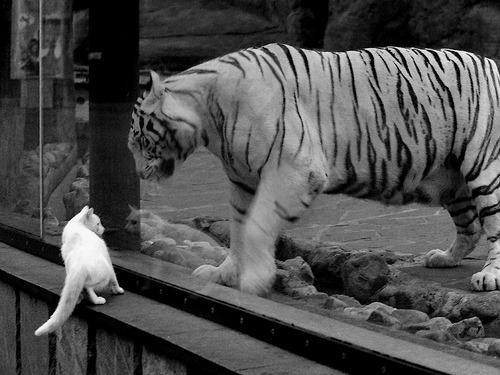 九游登录中心-西甲联赛加强公平竞赛机制，营造良好氛围，西甲赛制规则