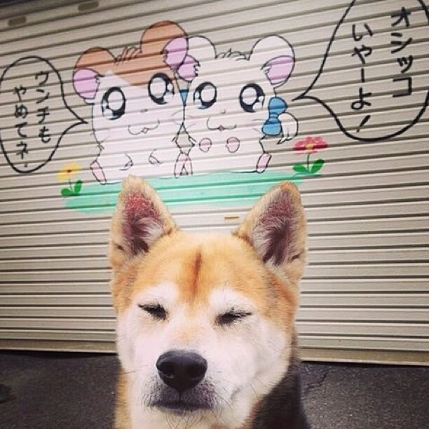 足球医疗急救服务体系在赛场全面部署,足球医疗团队