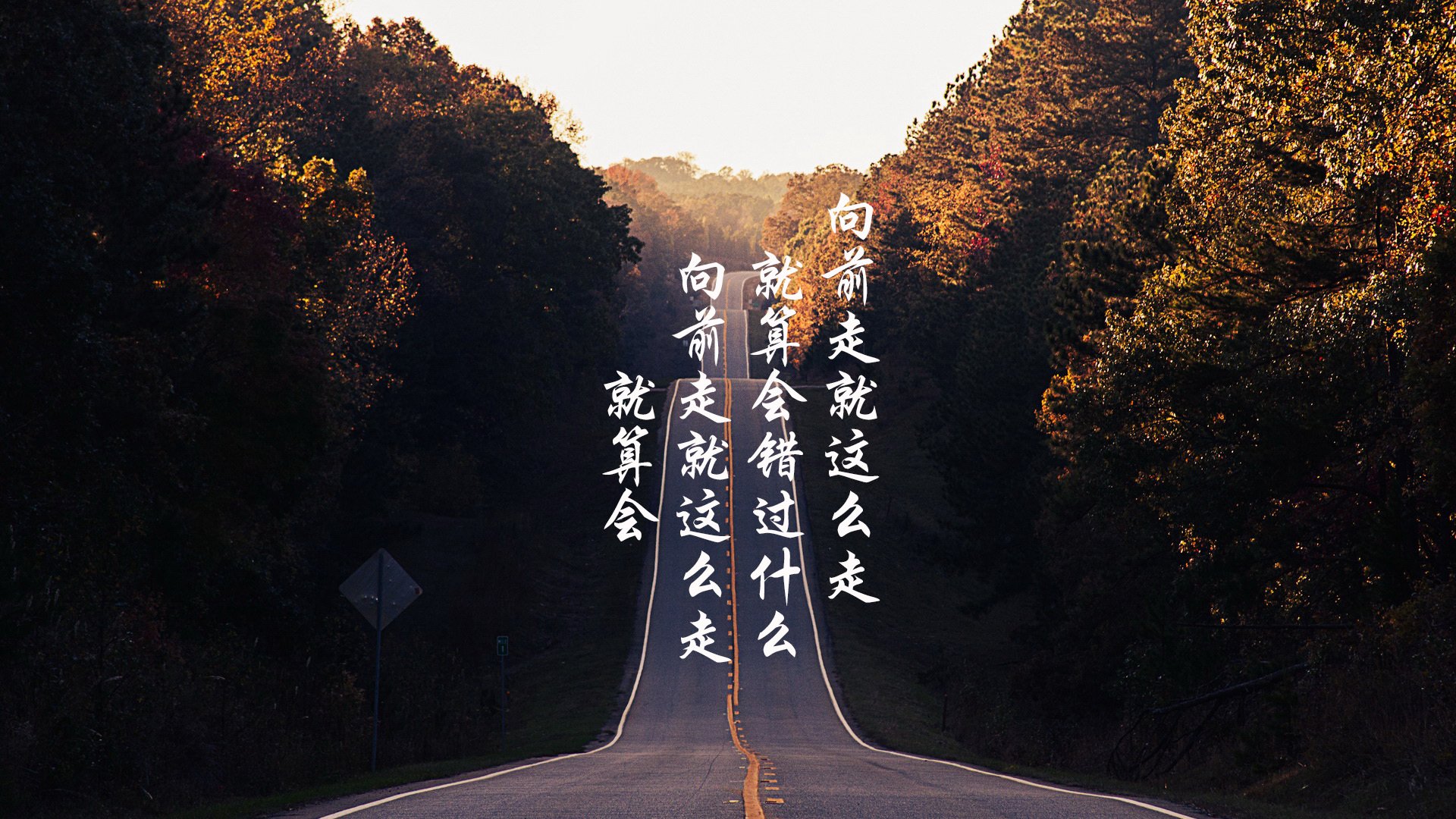 阿根廷马术学院推出青少年培训计划,培养未来马术明星。,阿根廷赛马