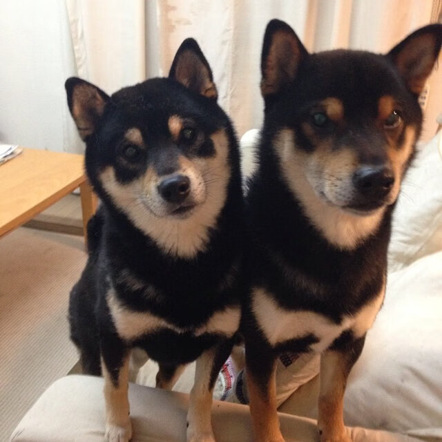 一场比赛中新秀球员展现出色的表现，球星新秀