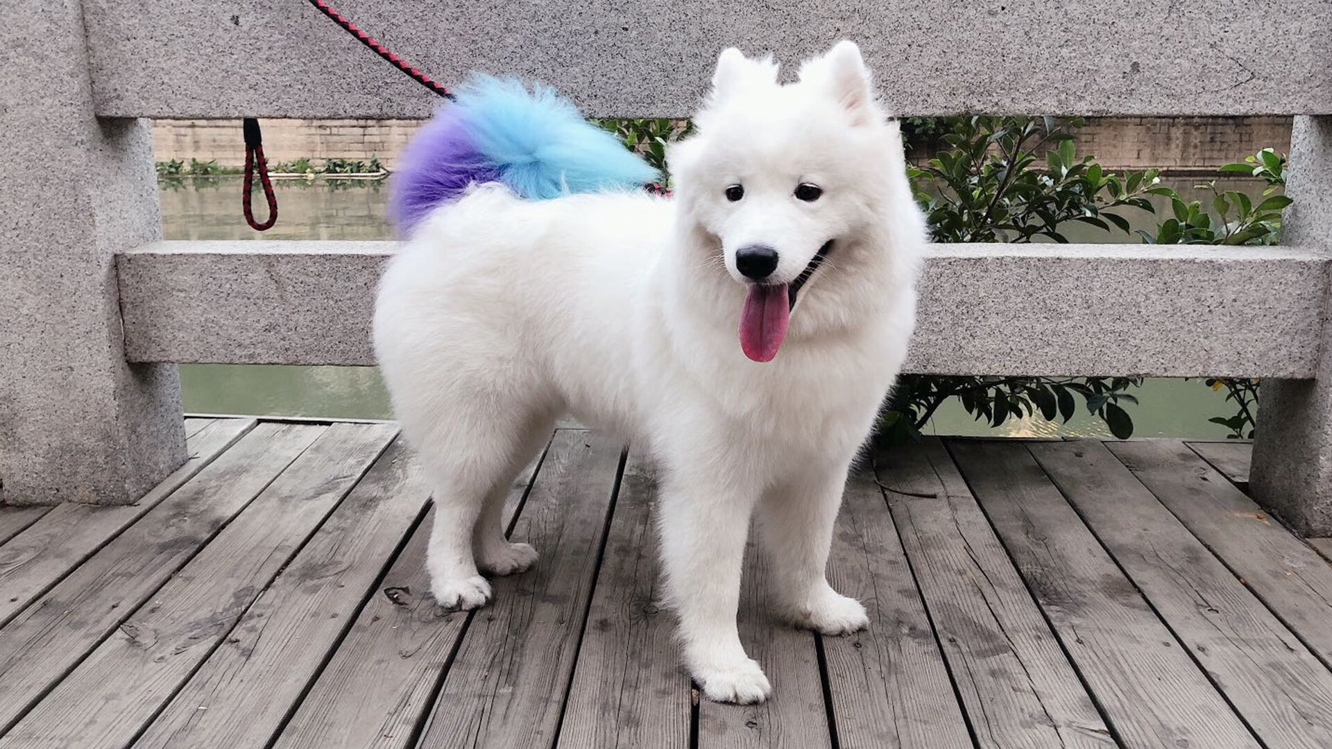 中超球队备战如火如荼,冲刺季后赛,中超联赛新赛季