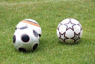 九游体育网址-未来足球市场：数字资产与足球产业的融合，足球概念数字货币